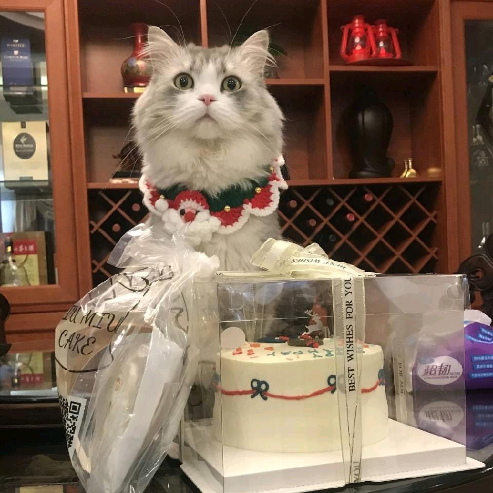 🌈肉肉还是菜菜