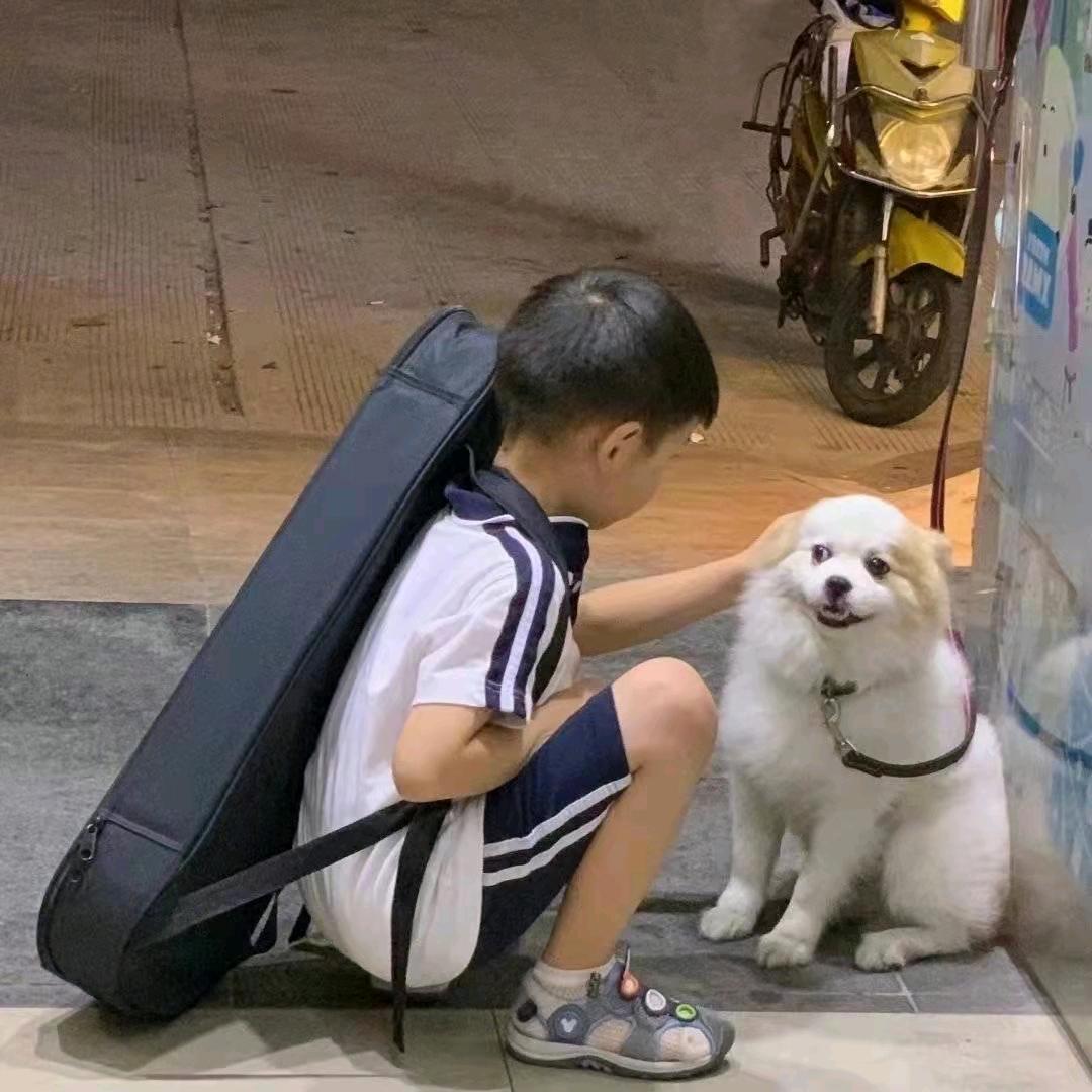 阿巴阿巴阿巴阿巴阿巴