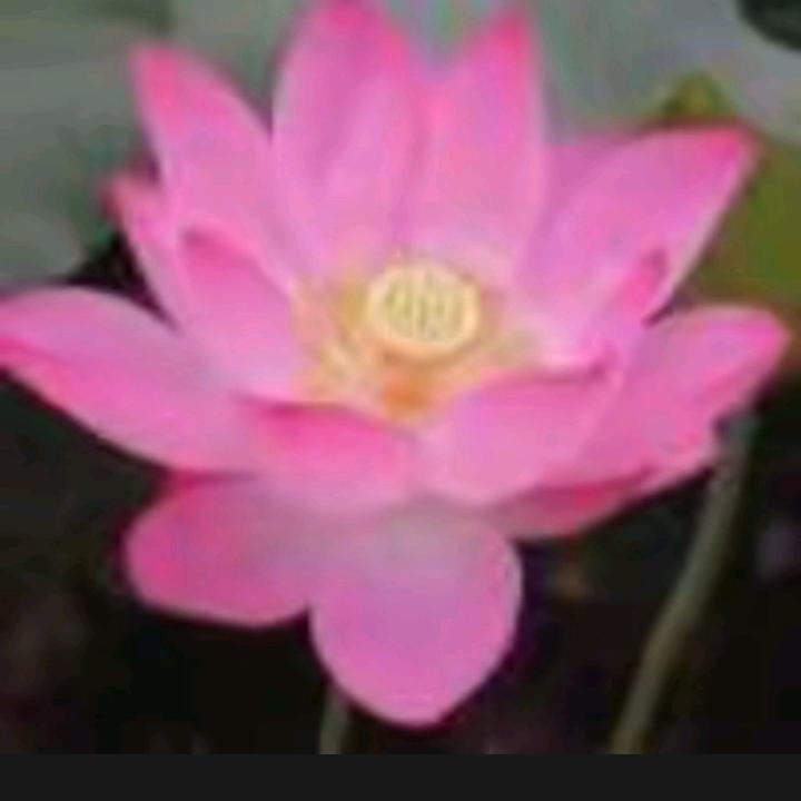 活在当下