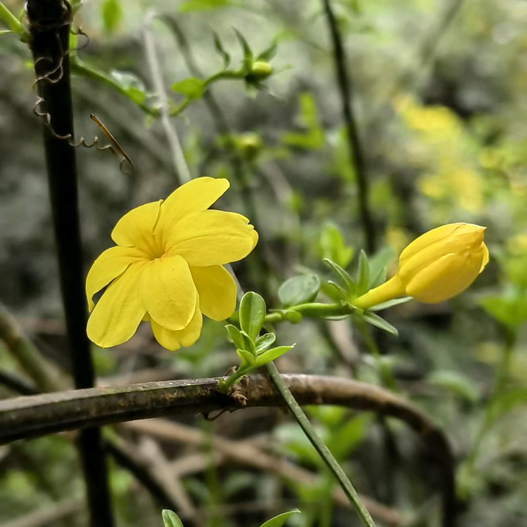 简单让大家更快乐