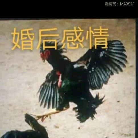 小南南