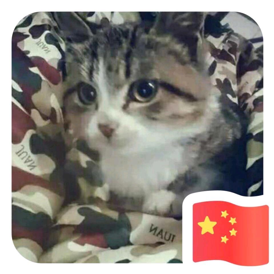 旭柯