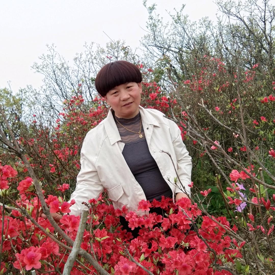 岩口英姐