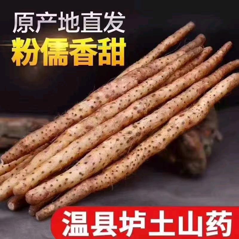 山药王南【铁棍山药】