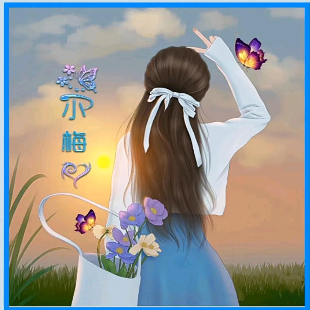 爱吃梅子的猫