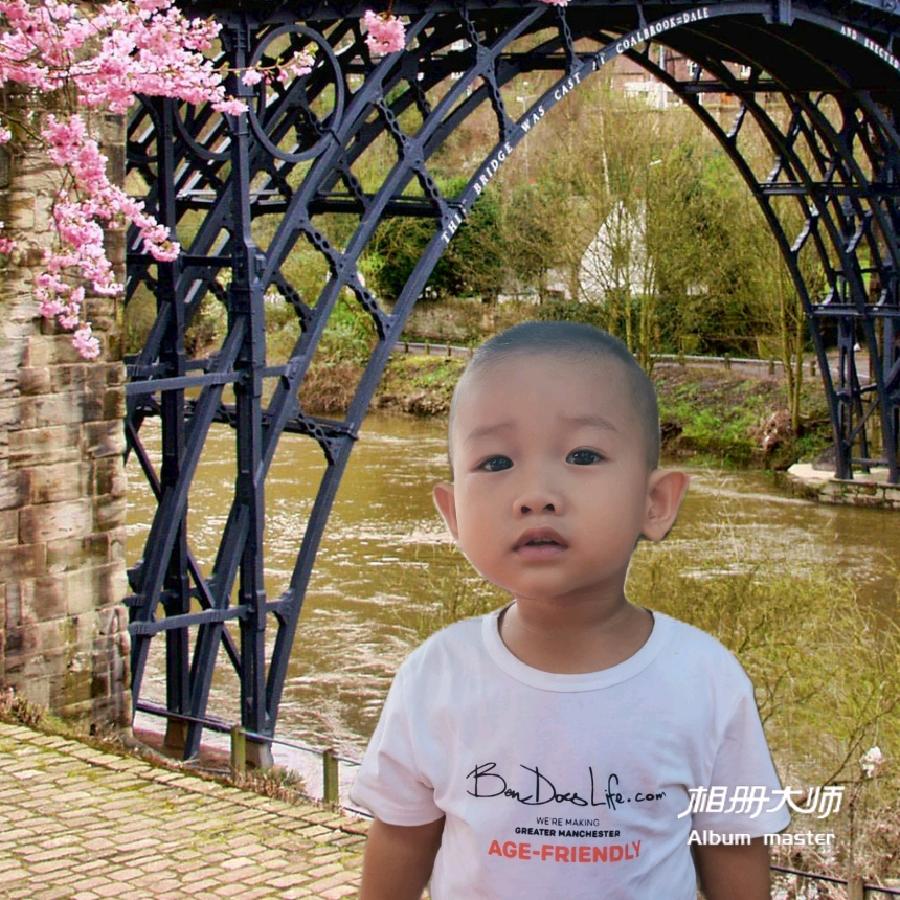 龙