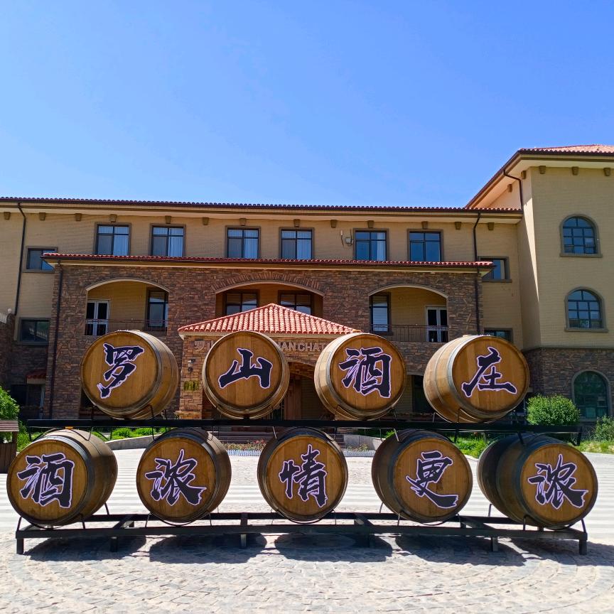 罗山商贸专营店