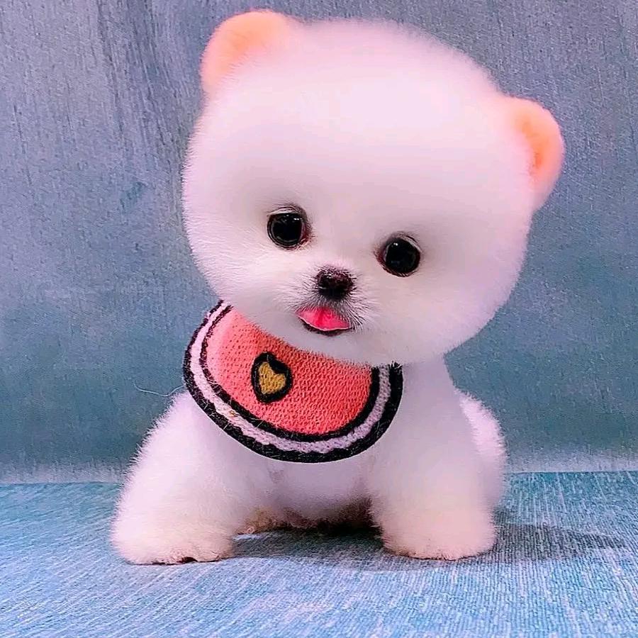 故事编不下去就剧终吧