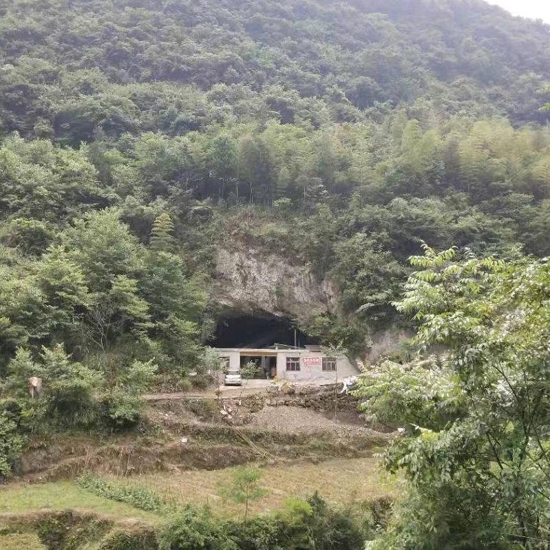 山洞夫妻