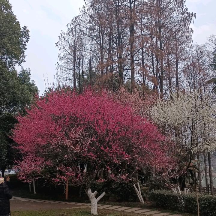 用户军军