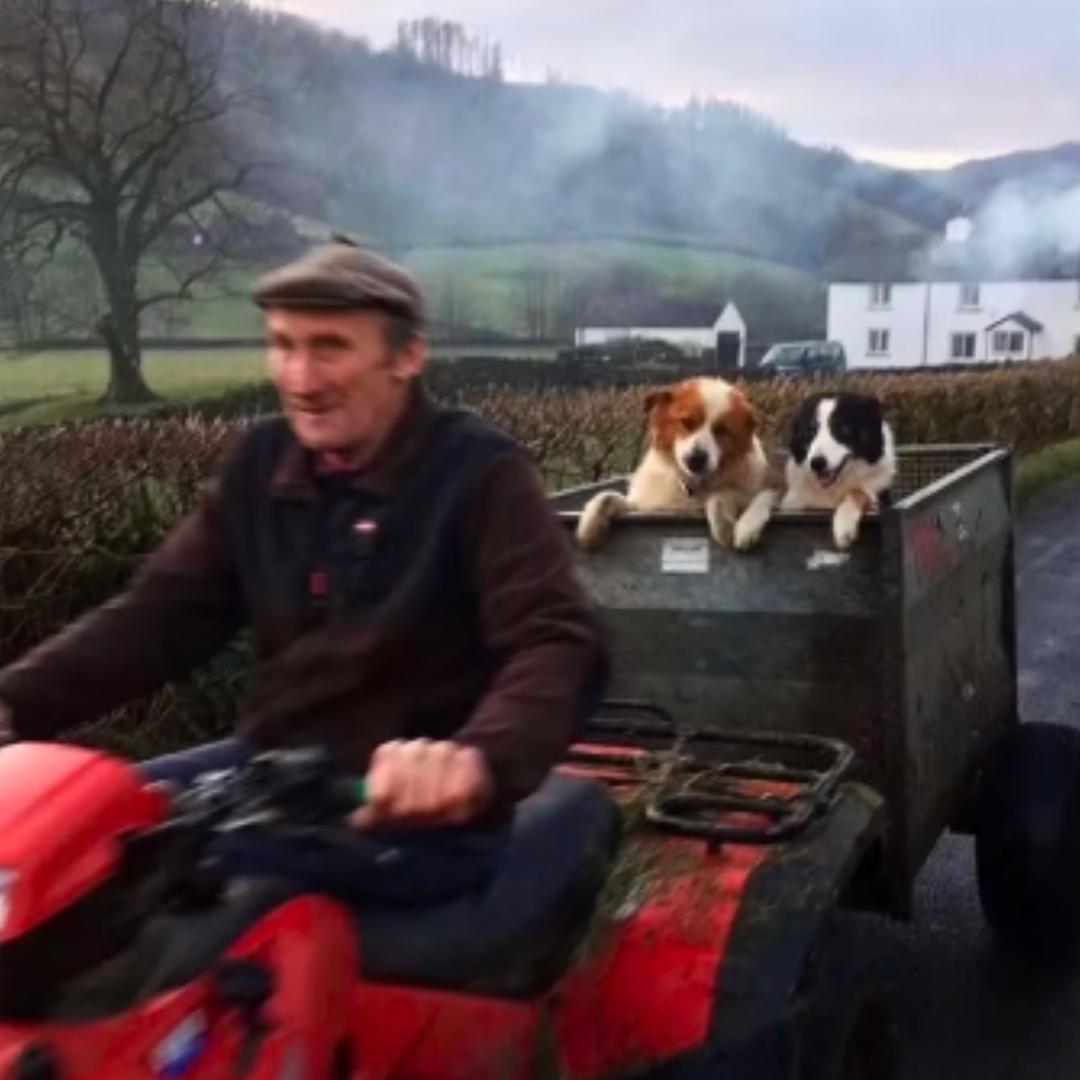 脑残脑回路研究所 所长