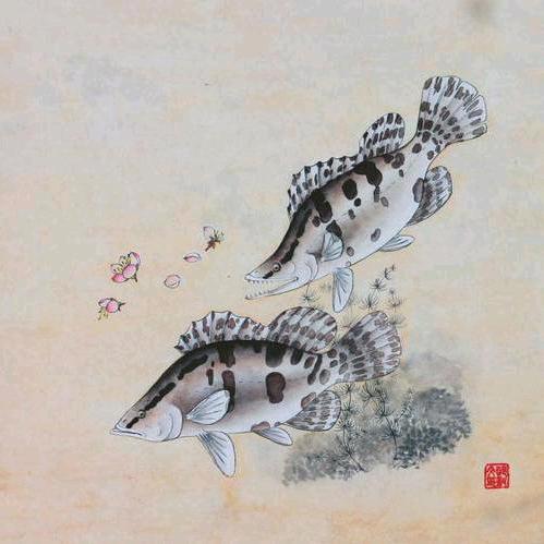 高安鳜鱼翘嘴钓点鱼情分享