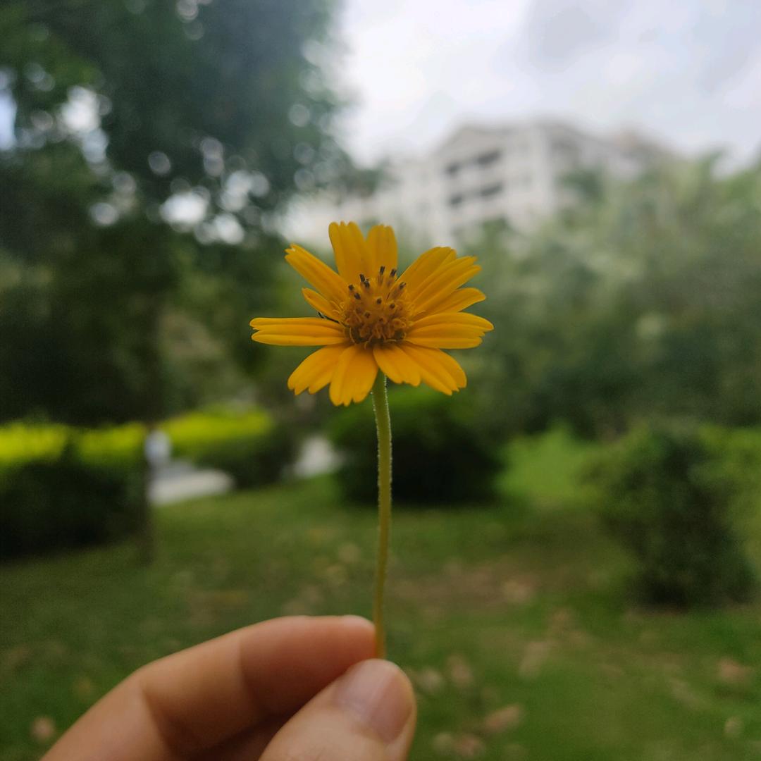 周玉