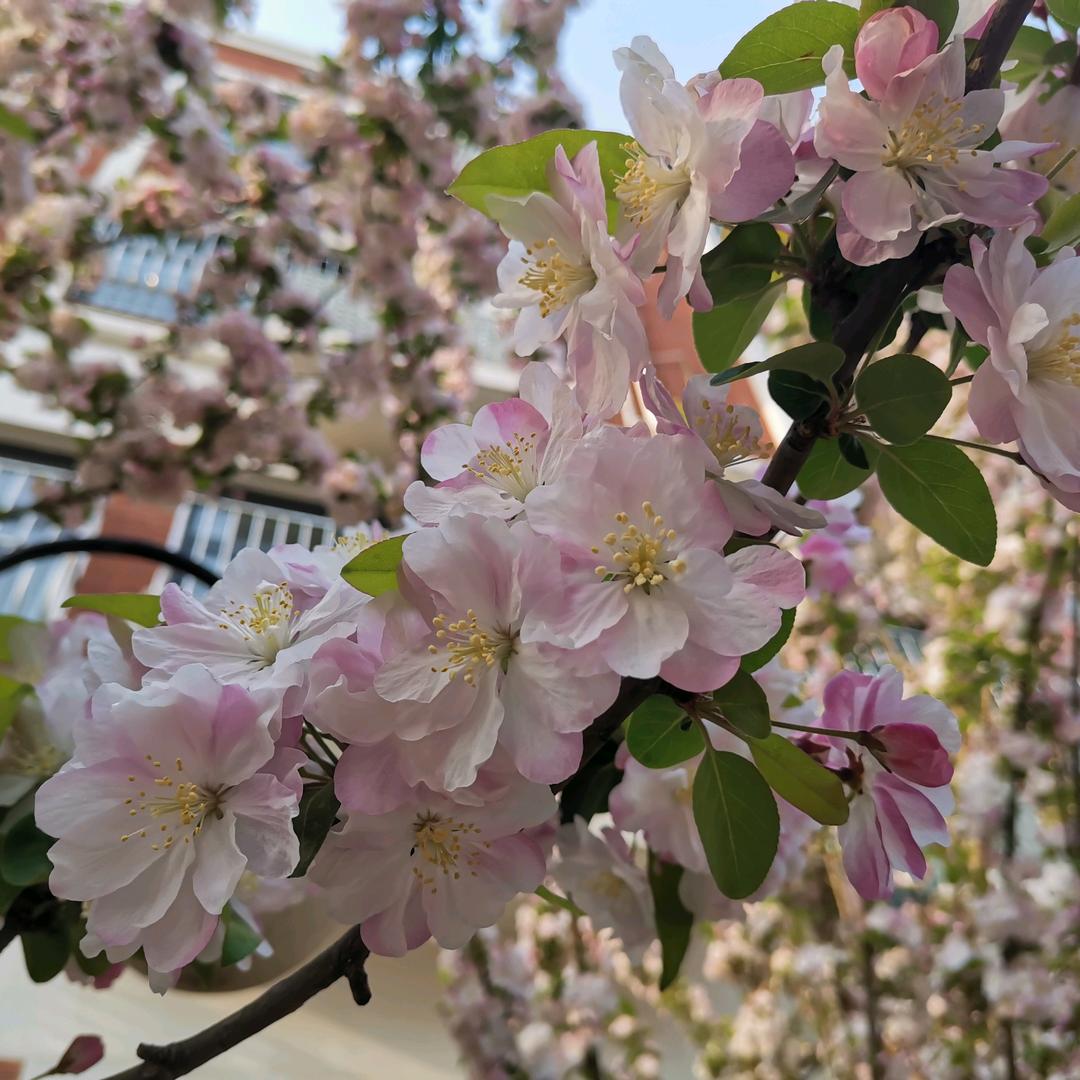 李老师lyq