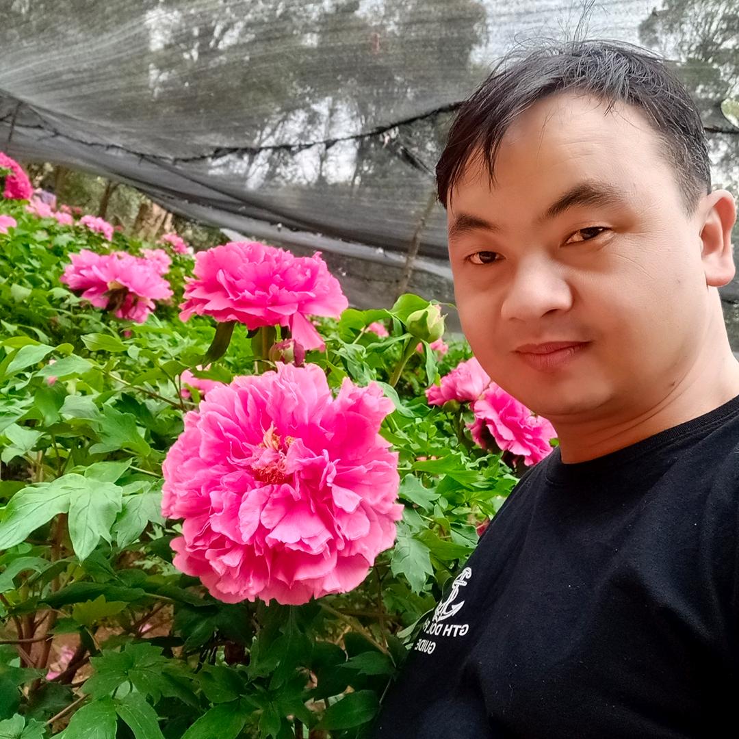 风里雨里一路有你