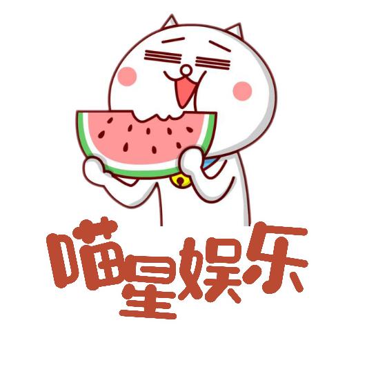 喵星娱乐