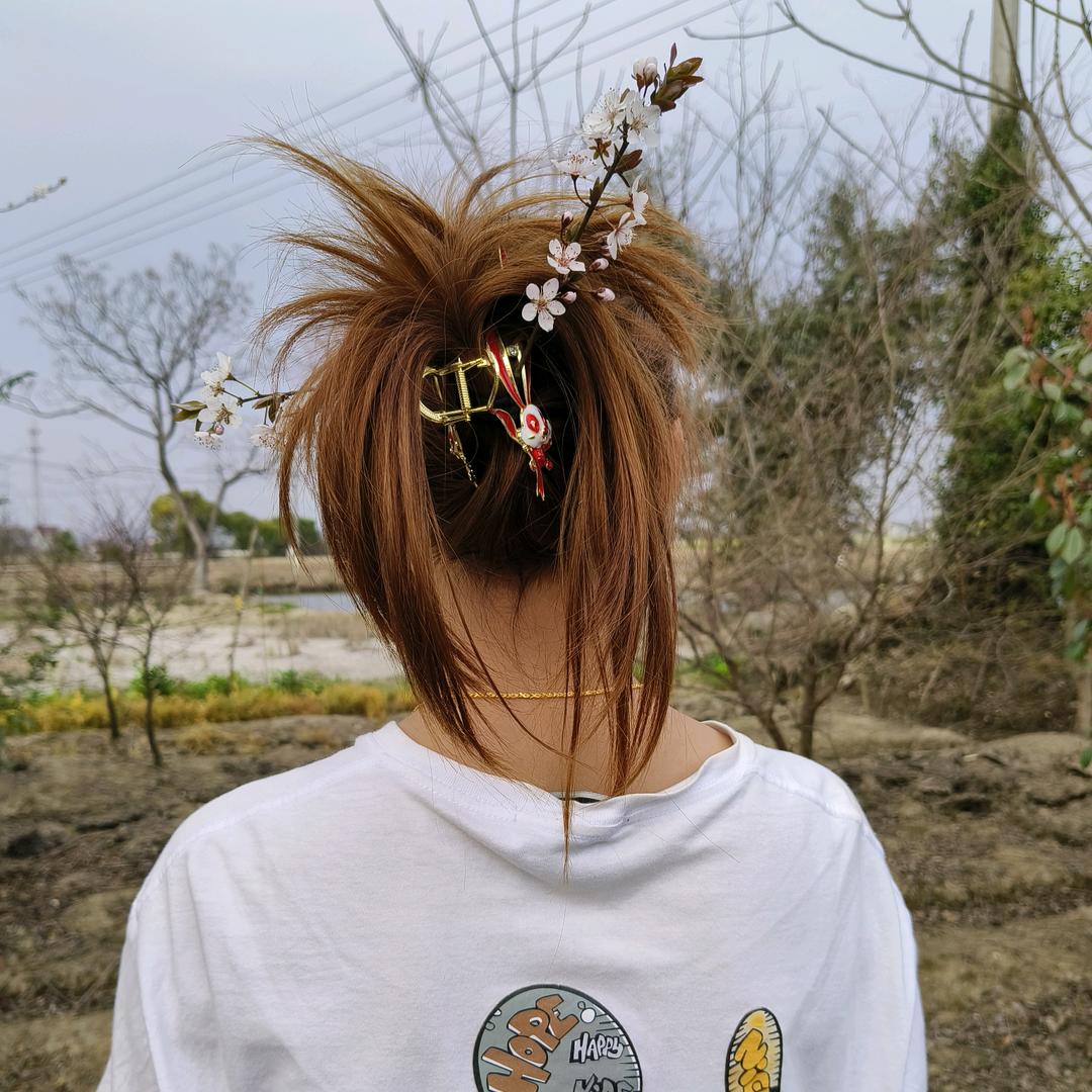 太阳☀️☀️☀️☀️☀️☀️☀️☀️☀️