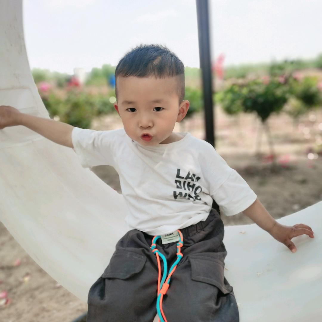 峰阳北街纸花店医院🏥南边