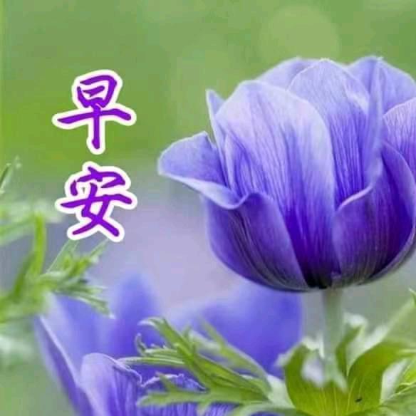 福财