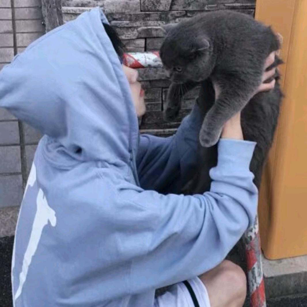 A.小杨&