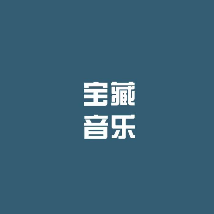 宝藏音乐 (车载U盘）