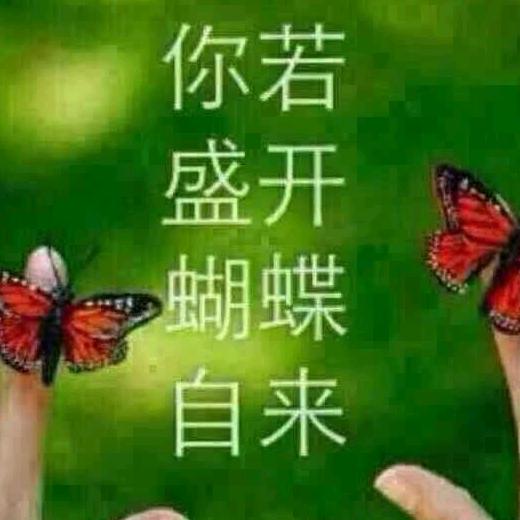 鑫想事成.时来运转