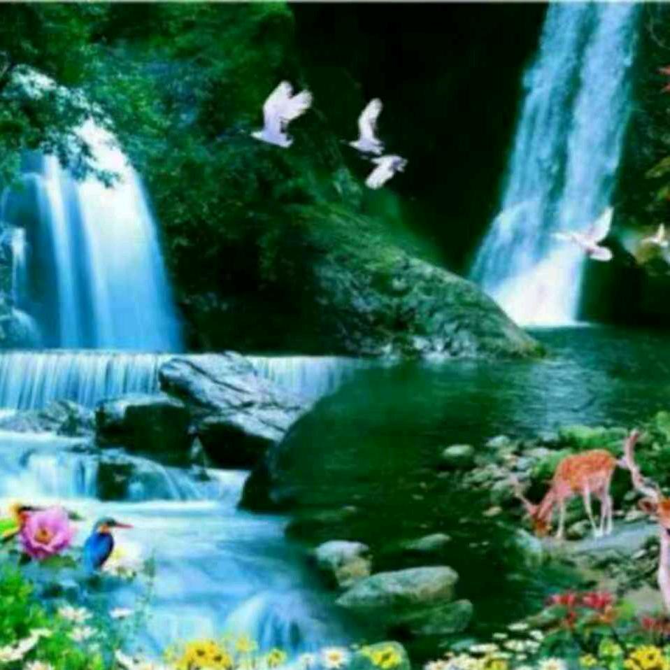 开心一笑（陈二哥）