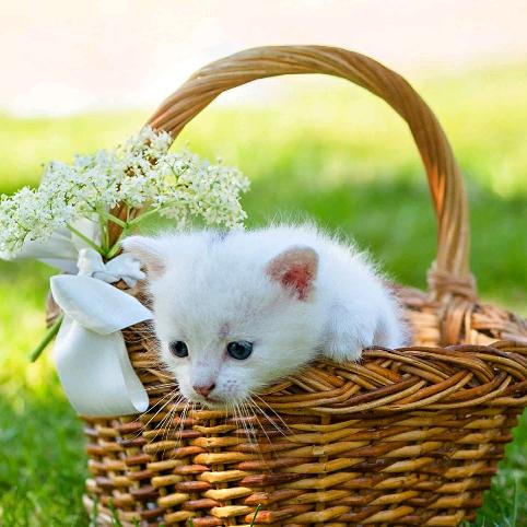 🌺🌹💐小草💖💞💕