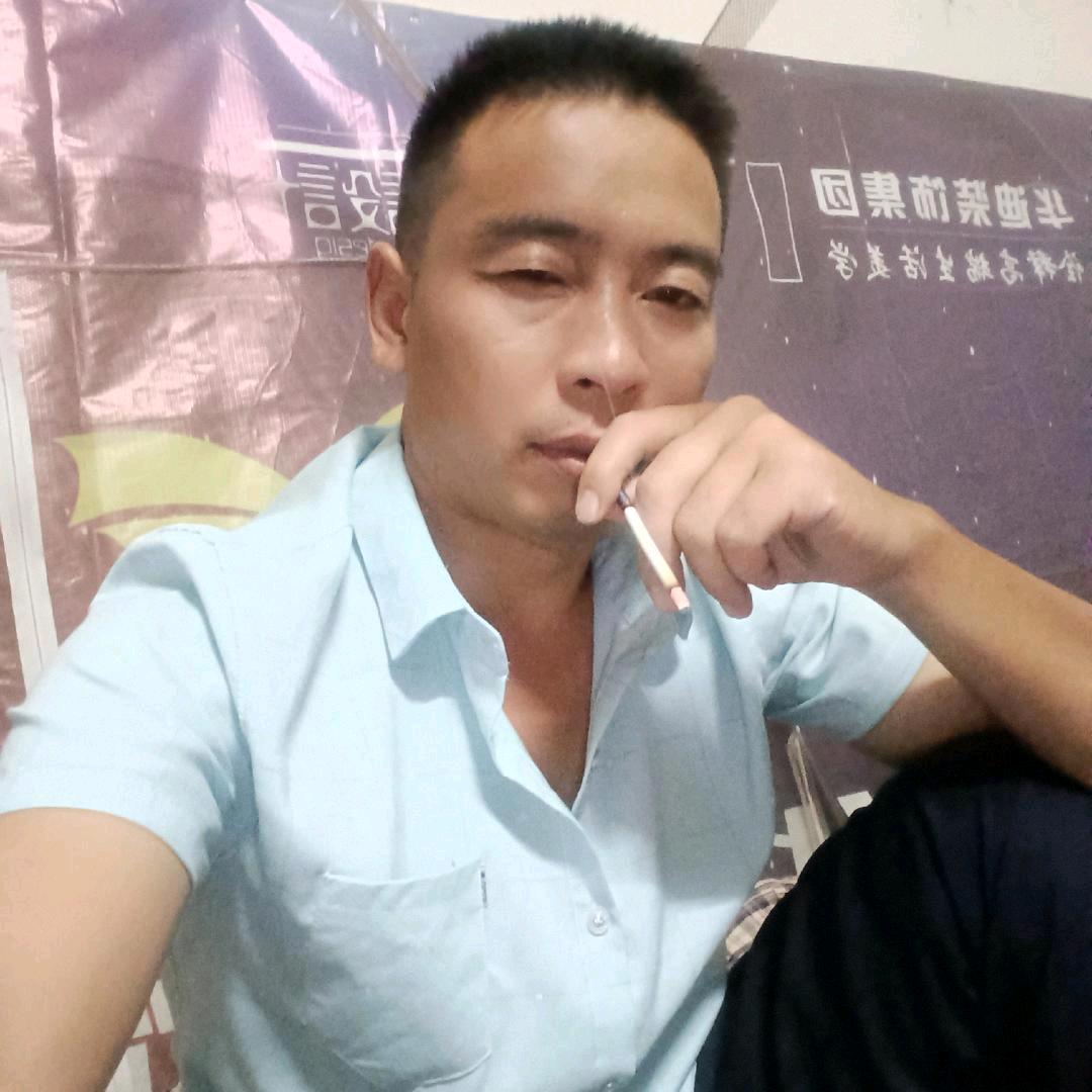杨光520
