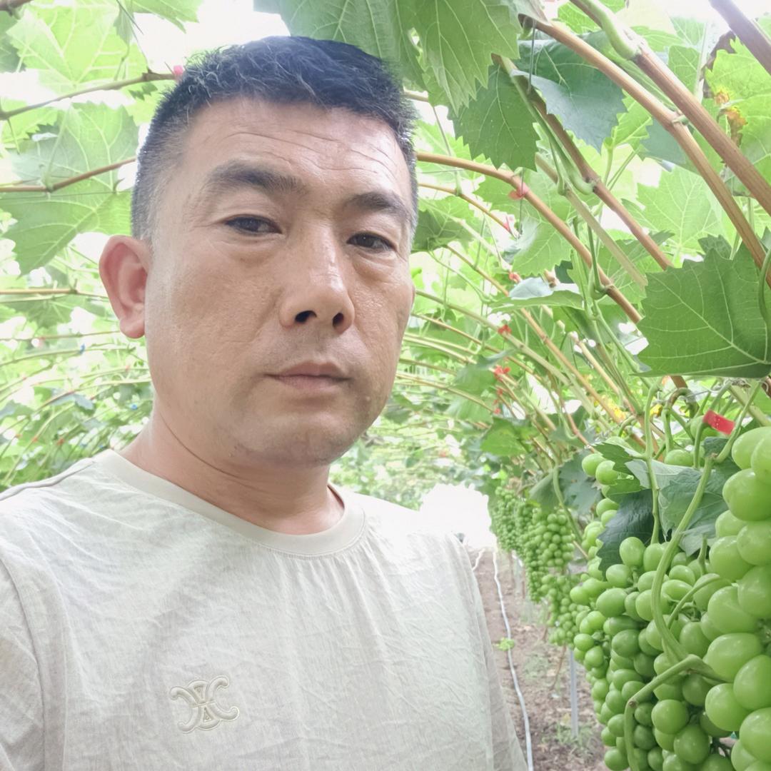 泳鑫果园