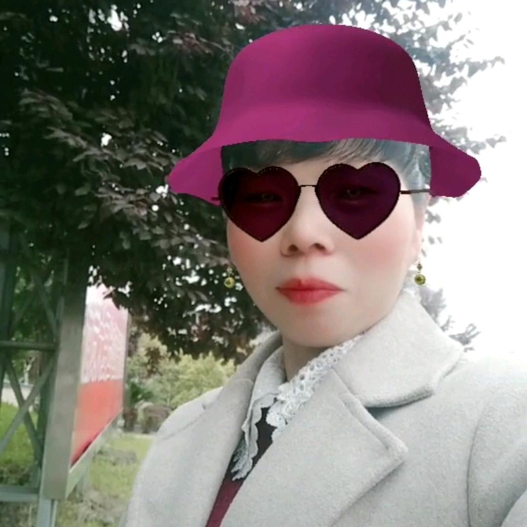 燕子飞