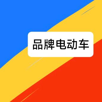 品牌电动车