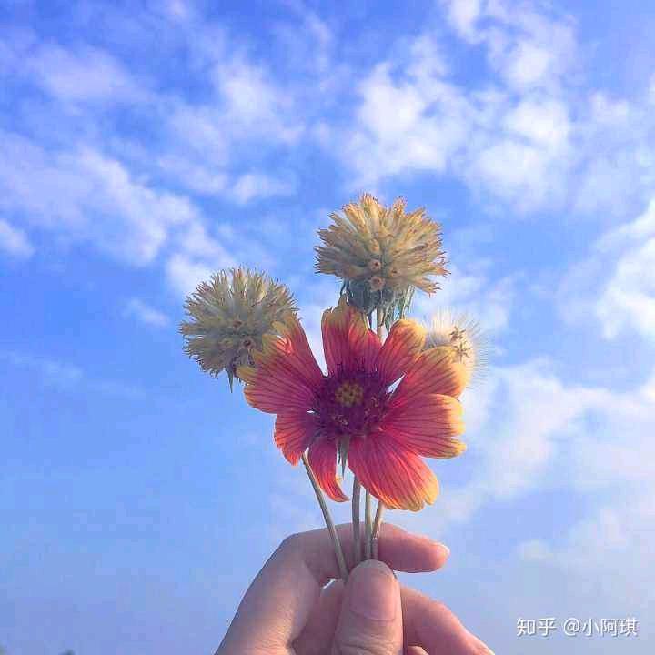 请勿打扰