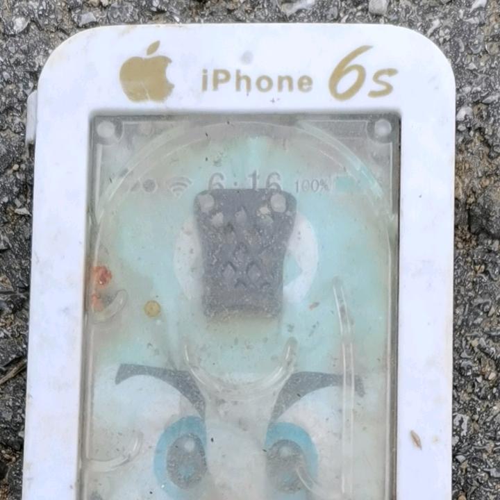 小阿樂