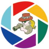 秋叶 摄影来源于生活