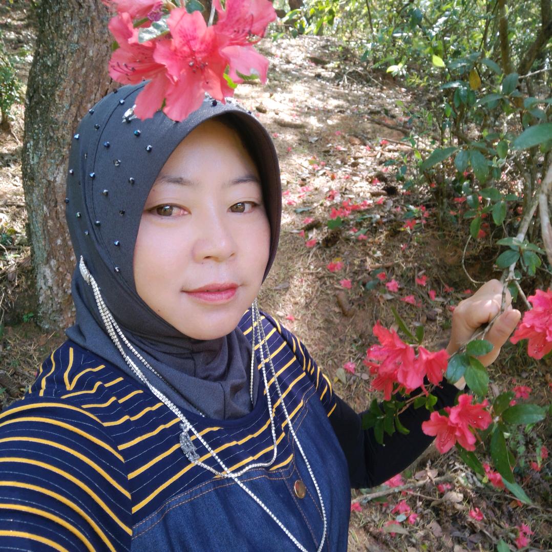 夏天的风💅