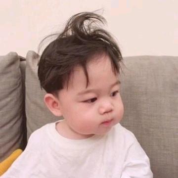 纵横