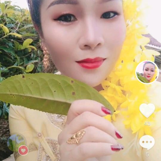 余生随心
