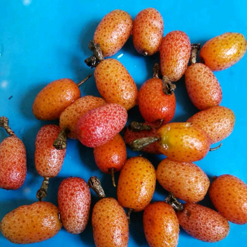 风吹沙尽
