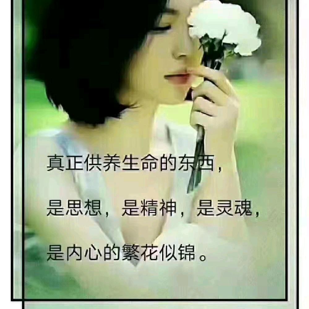 自在海风