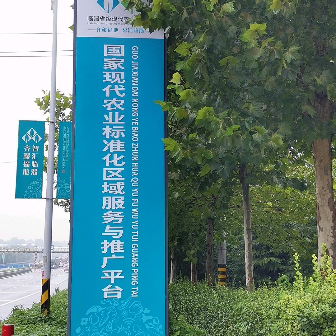 思远农业老赵聊姜