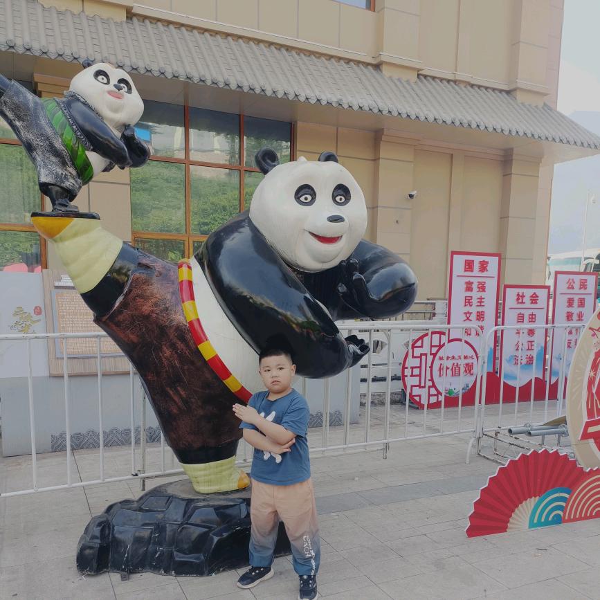 重庆小✈️✈️✈️✈