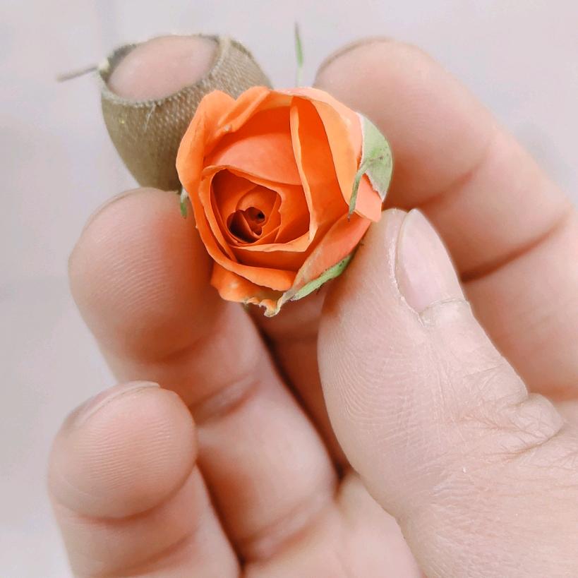 金箭电动车甘家寨店