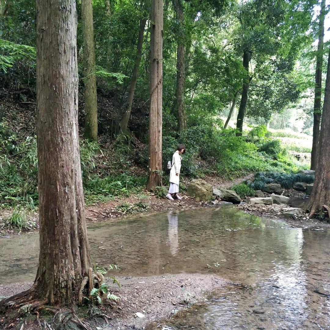 青箐