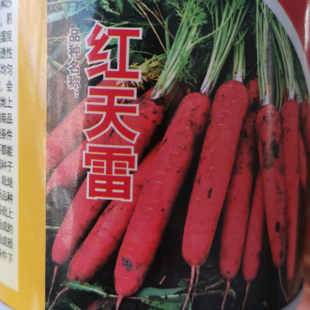 山东金田丰种业科技有限公司