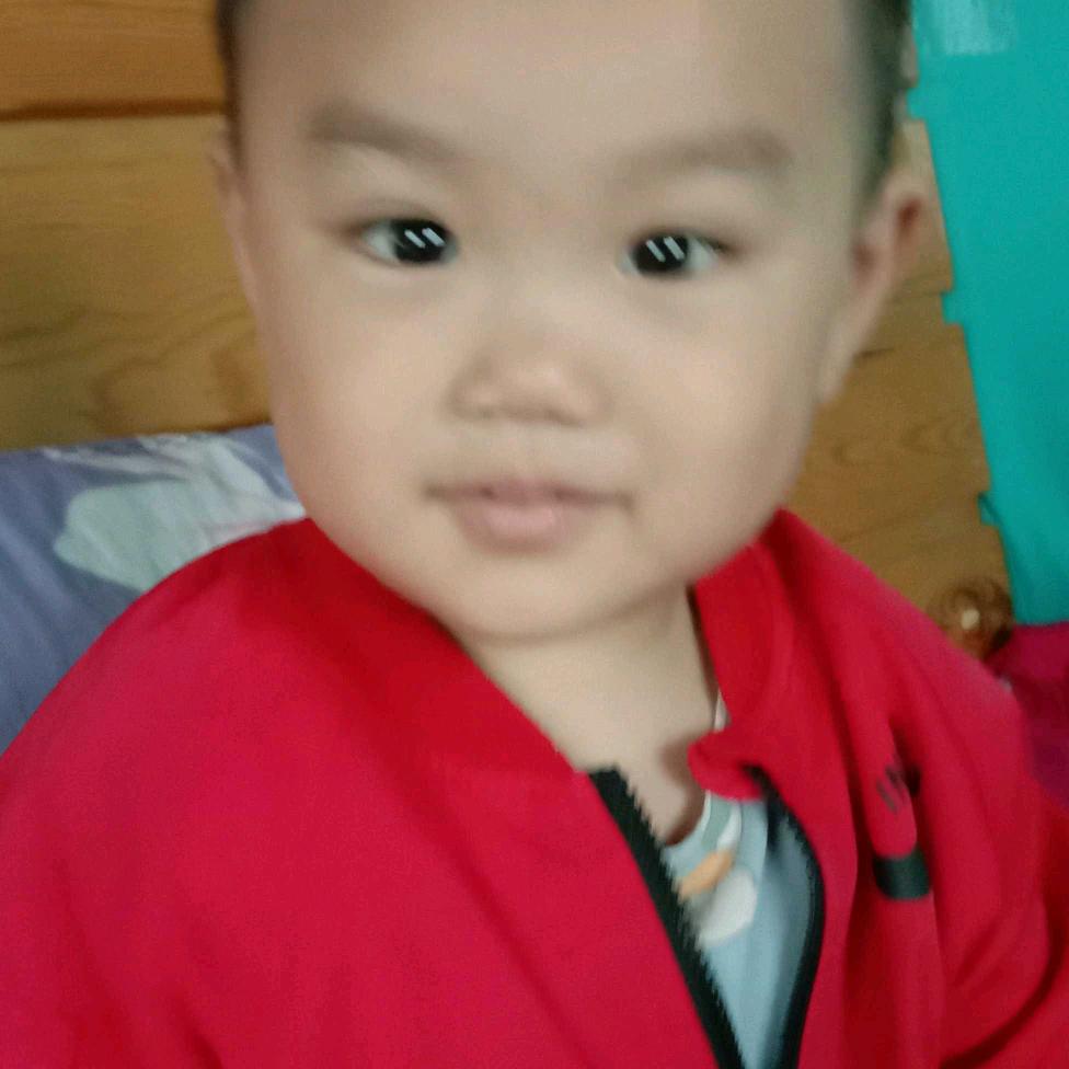 杨哥