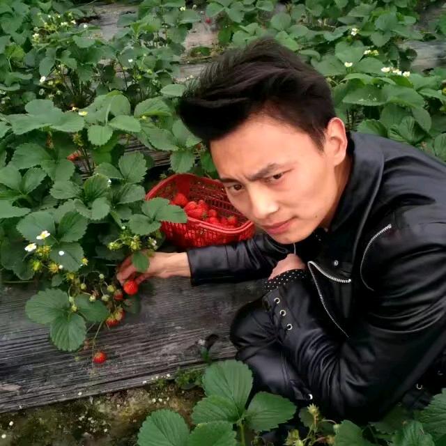 &与风行#