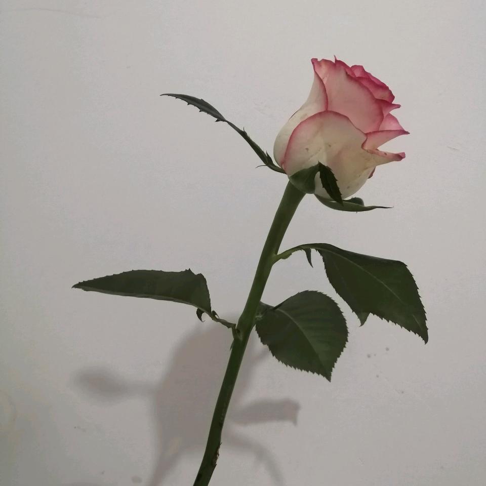 慢慢