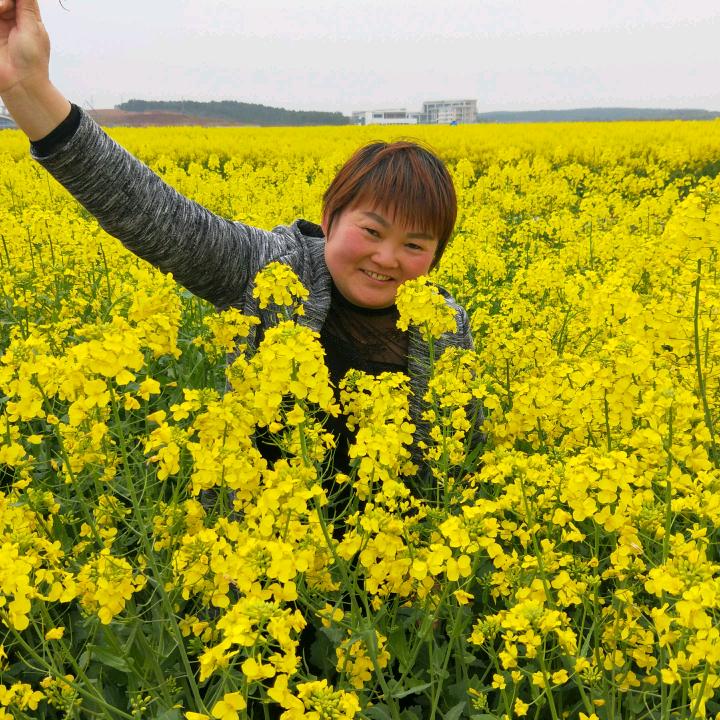 阳阳