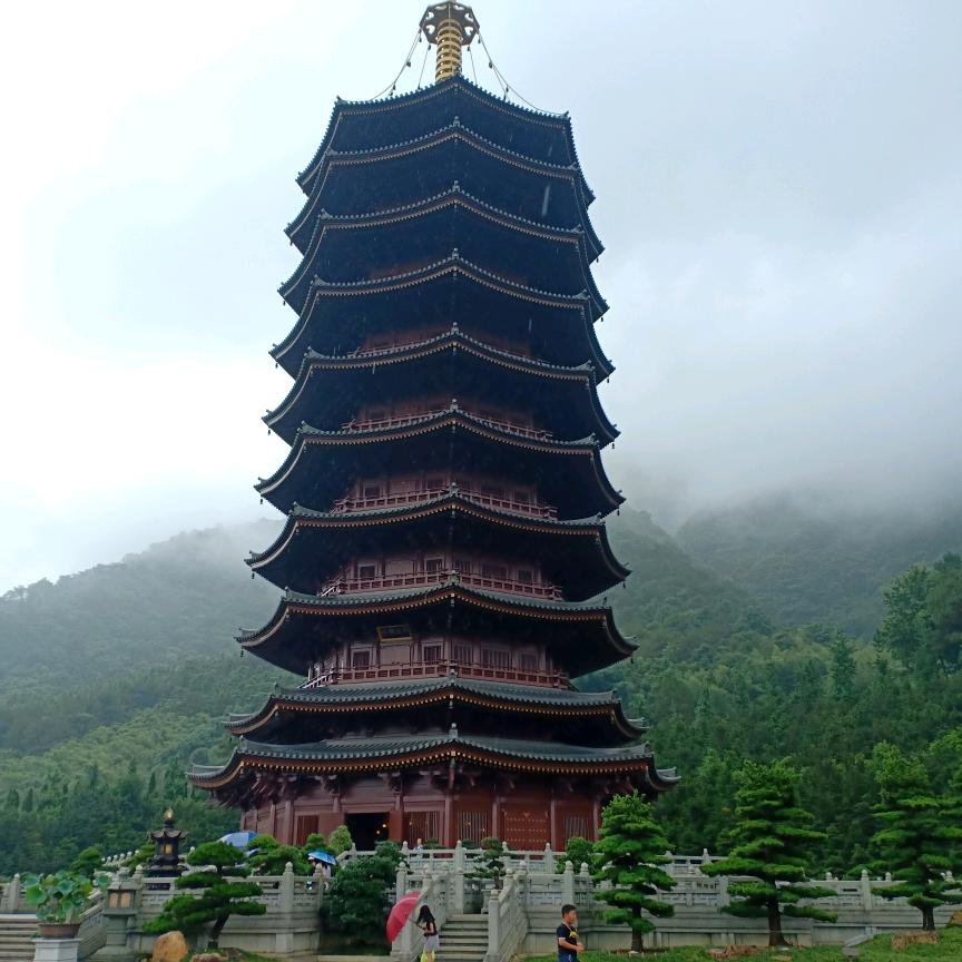 杨哥爱旅游